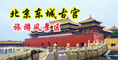 操老肥逼视频中国北京-东城古宫旅游风景区
